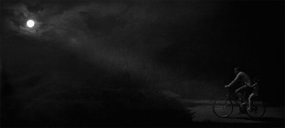 Strangers in the night
