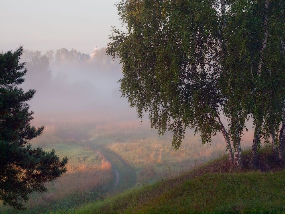 За утренним светом...