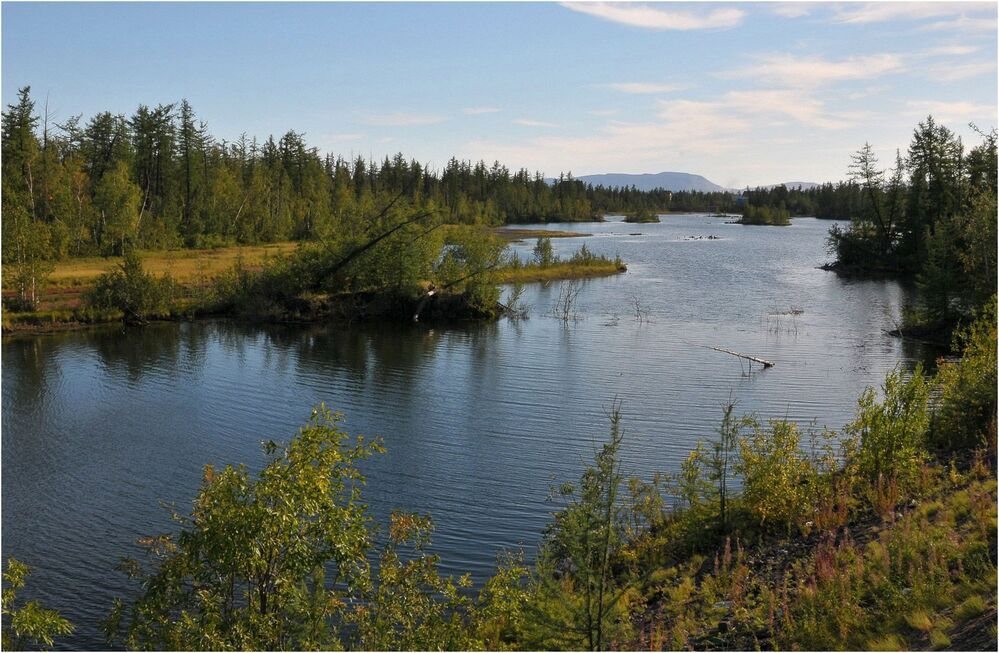 Летние зарисовки Таймыра