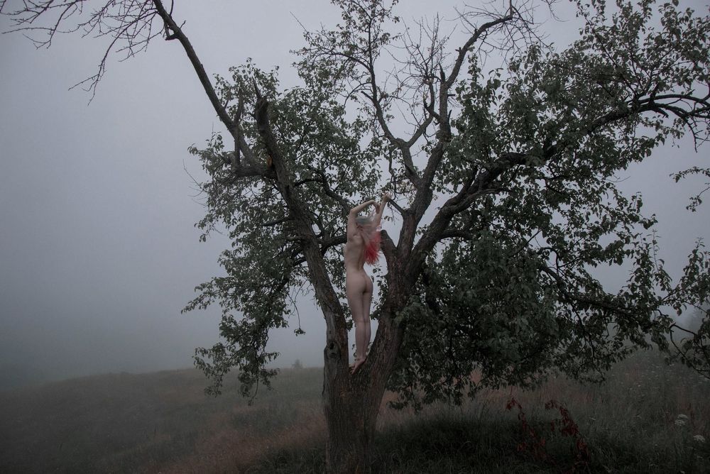 Photo 959686