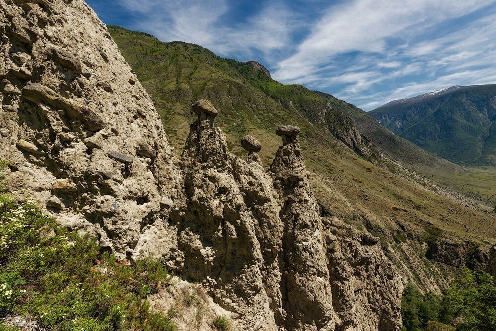 По грибы без лукошка
