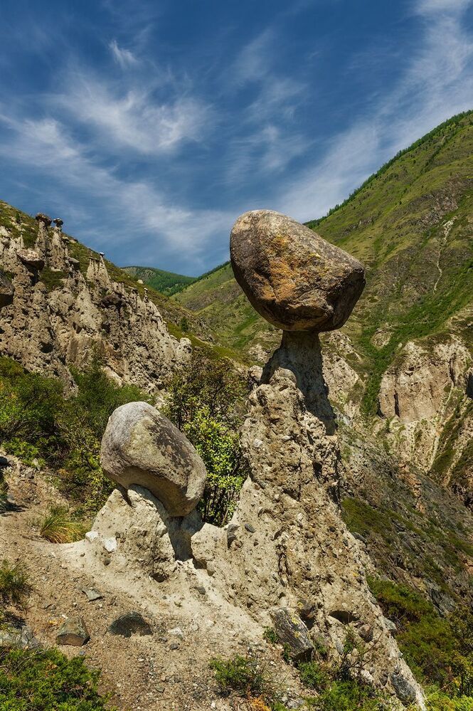 По грибы без лукошка