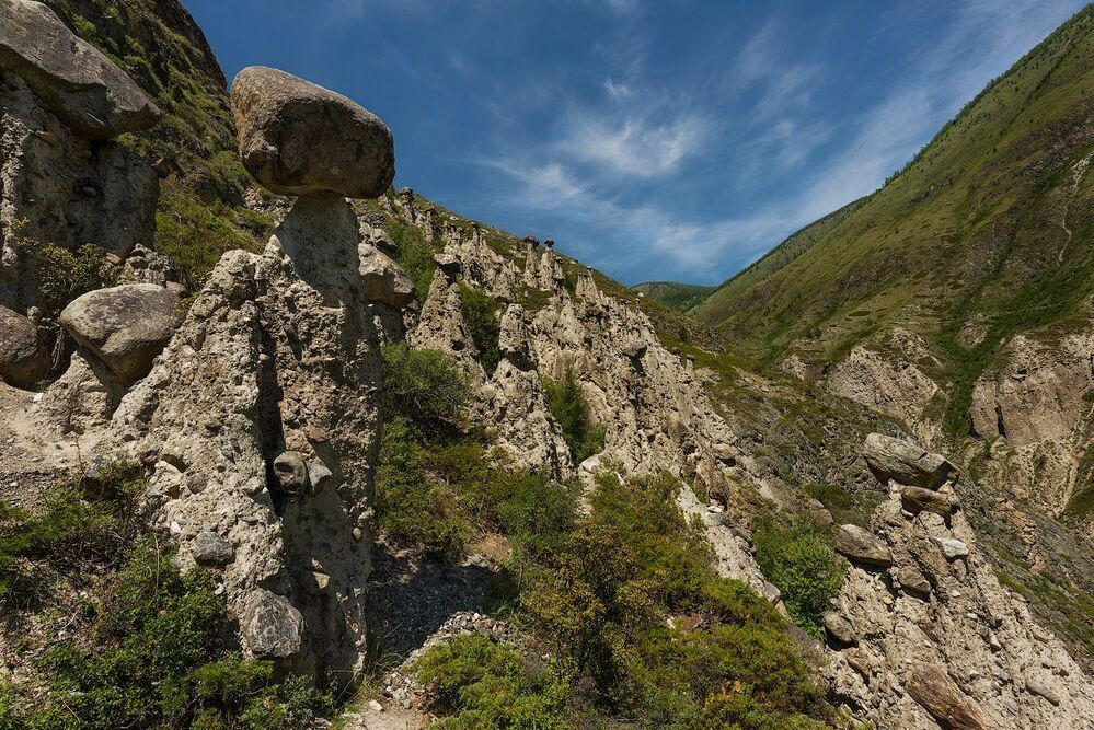 По грибы без лукошка