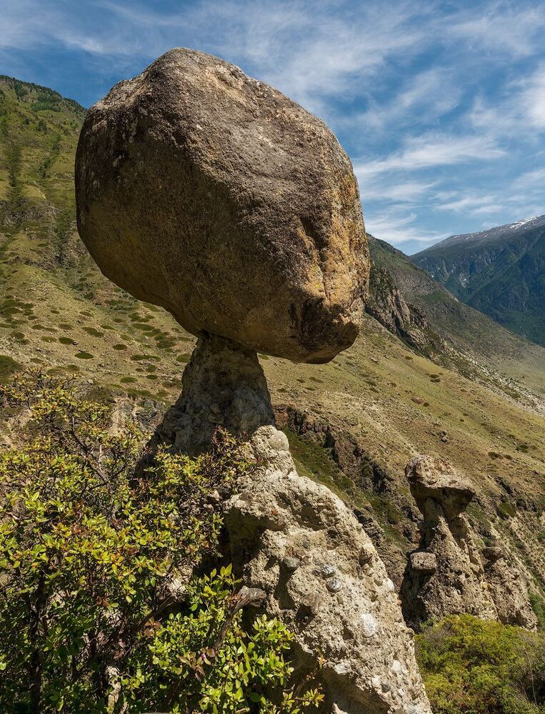 По грибы без лукошка