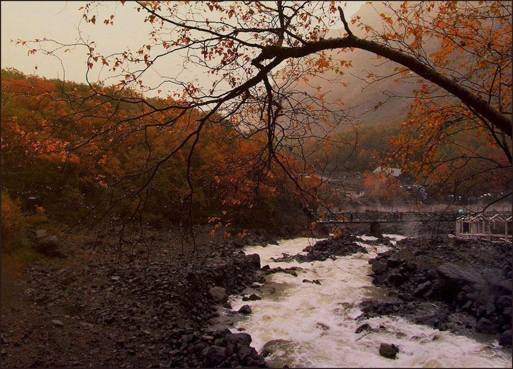 Рыжая осень
