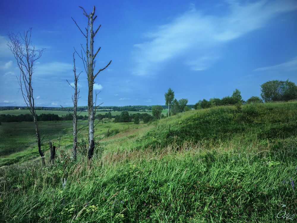 Перед грозой