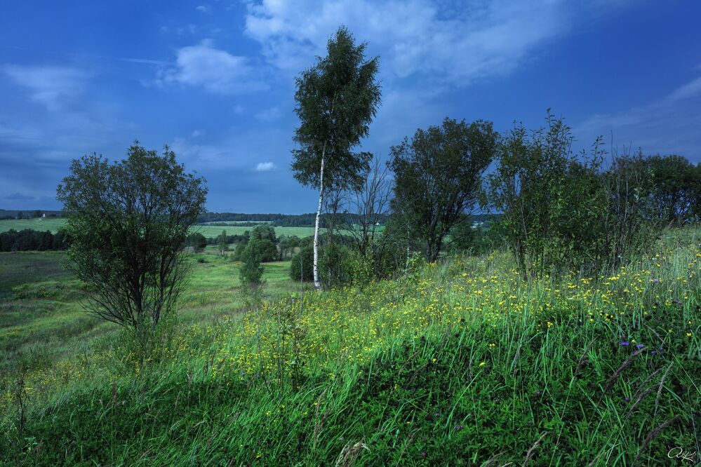 Перед грозой