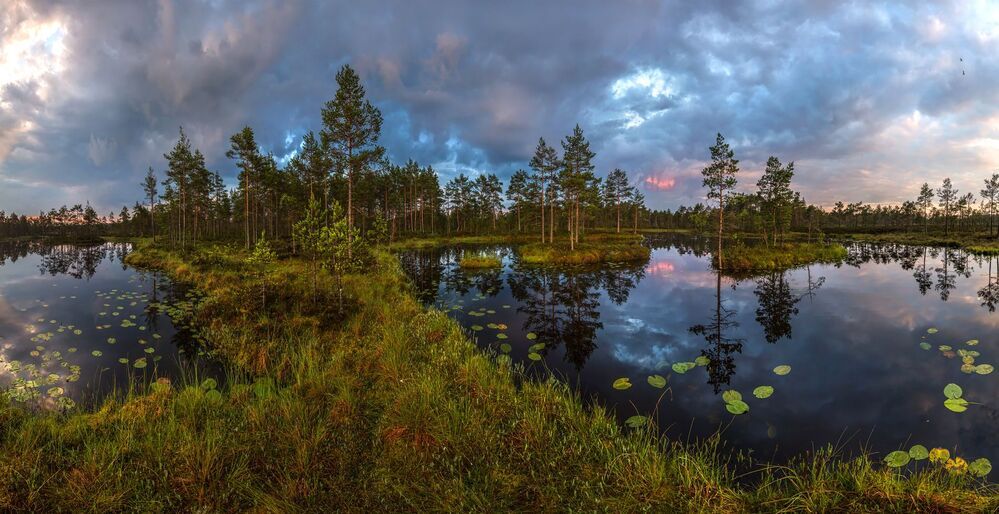 Северное лето, или пасмурный рассвет. 