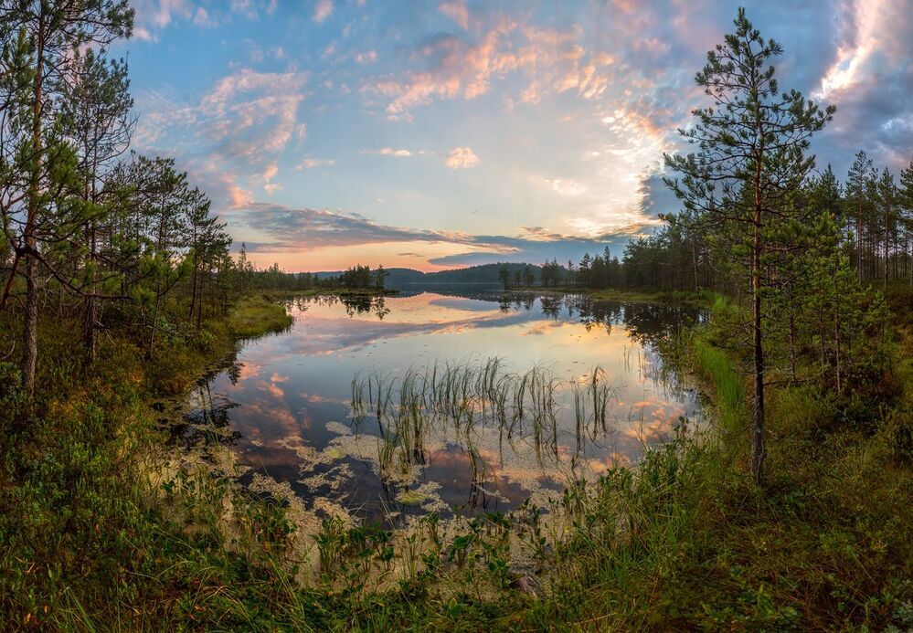 Северное лето, или пасмурный рассвет. 