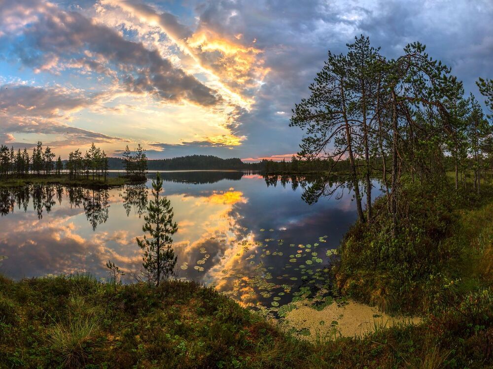Северное лето, или пасмурный рассвет. 