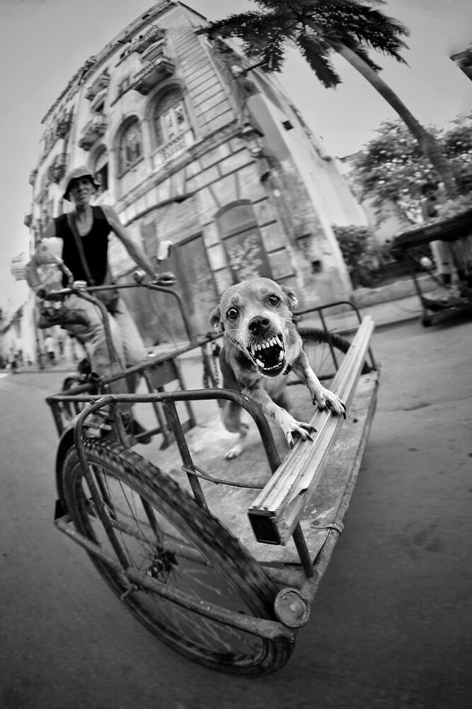 Roman Mordashev photography