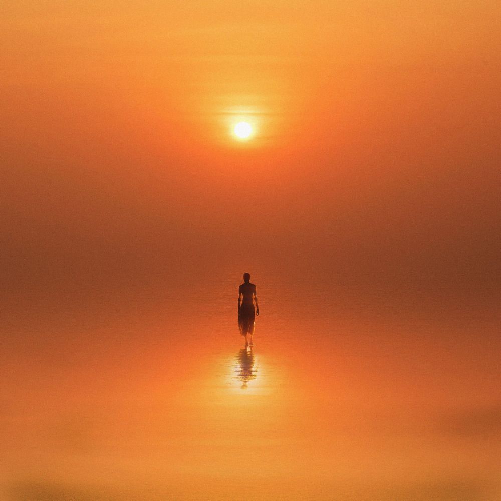 .mirror of nature.
