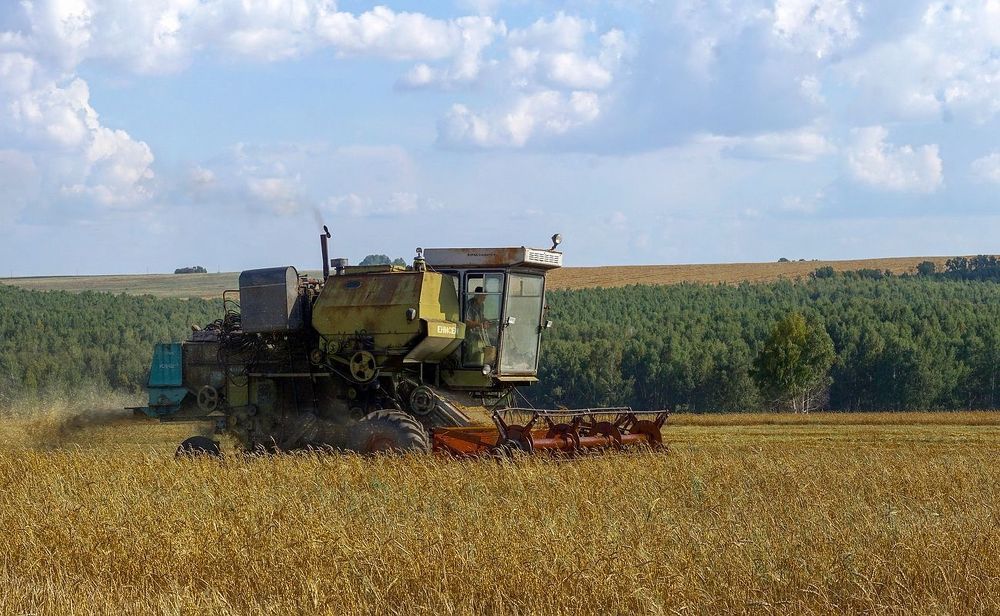 Старая гвардия в строю