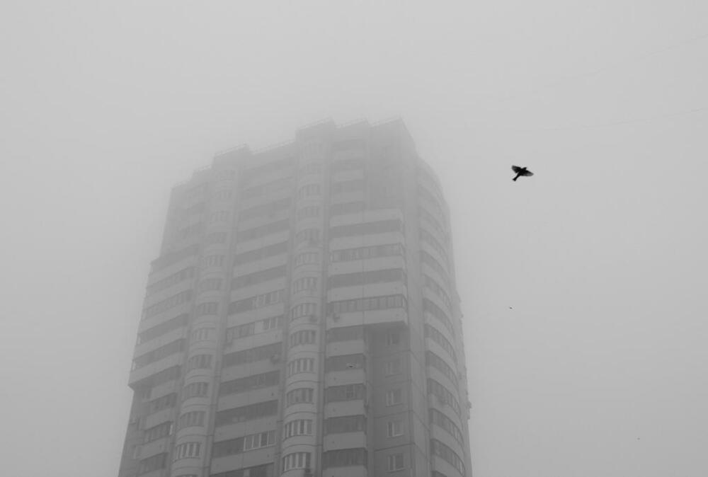 Photo 967921