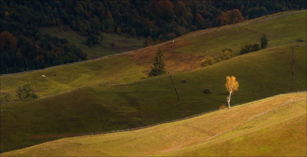 Осень в Закарпатье