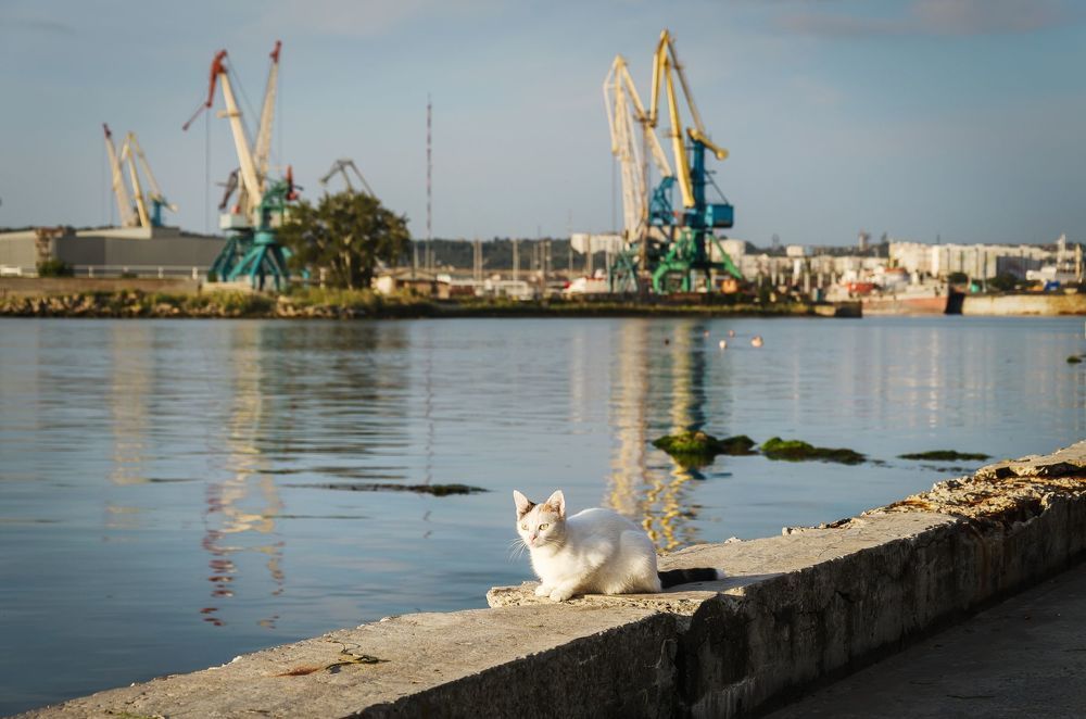 Последнее летнее утро Пантикапея.
