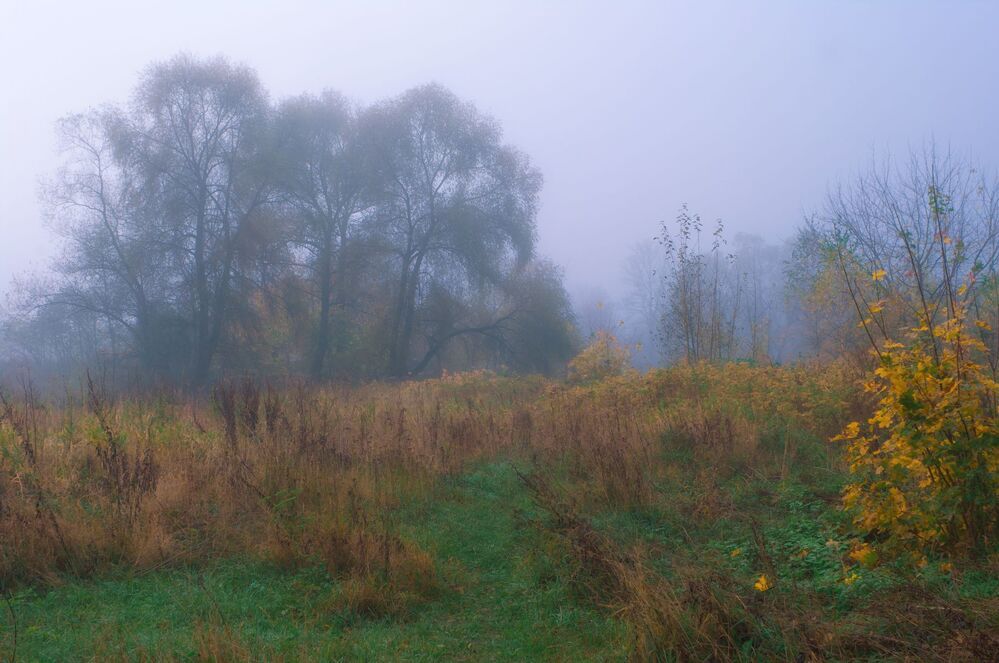 Осенняя речка