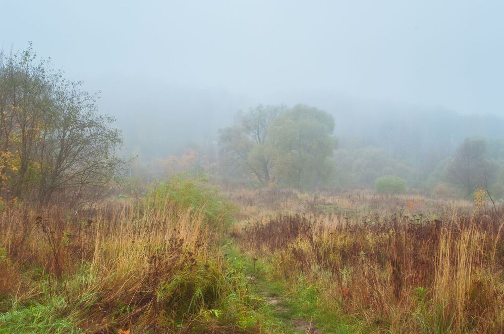 Осенняя речка