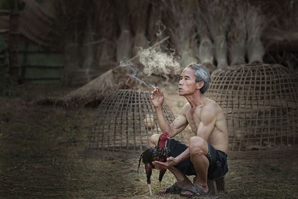Photos trajectory rural life in Thailand .