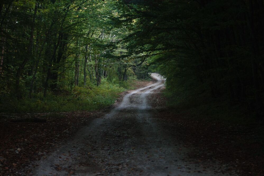 Photo 969094