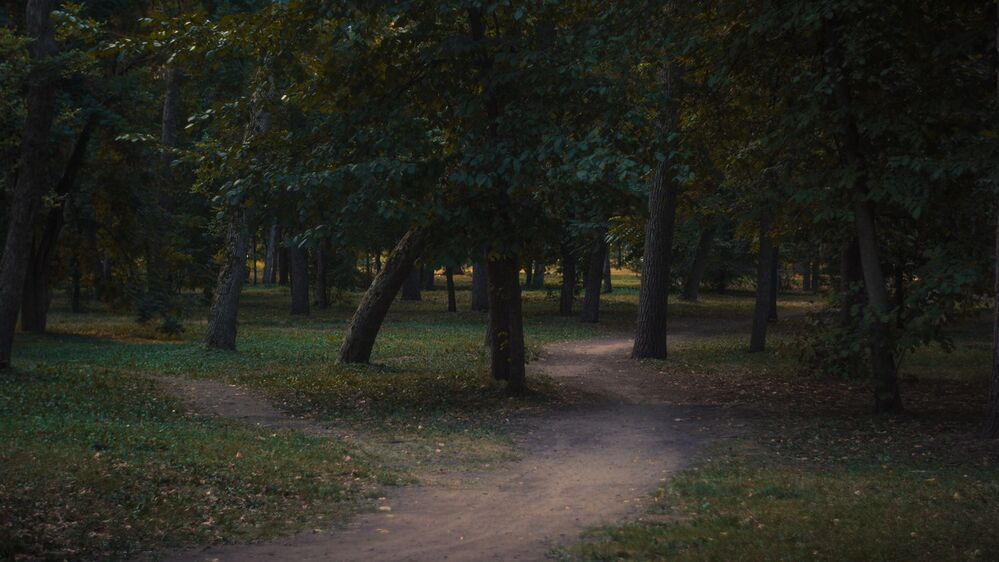 Photo 969095