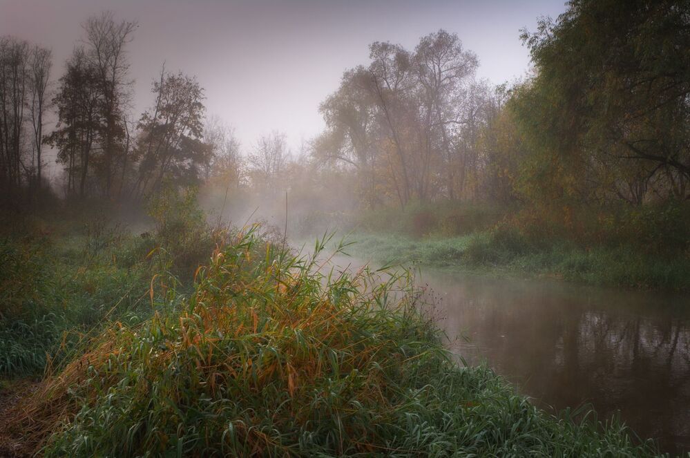 Осень на реке