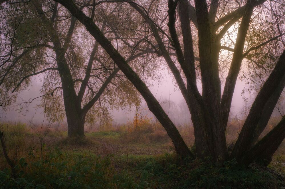 Осень на реке