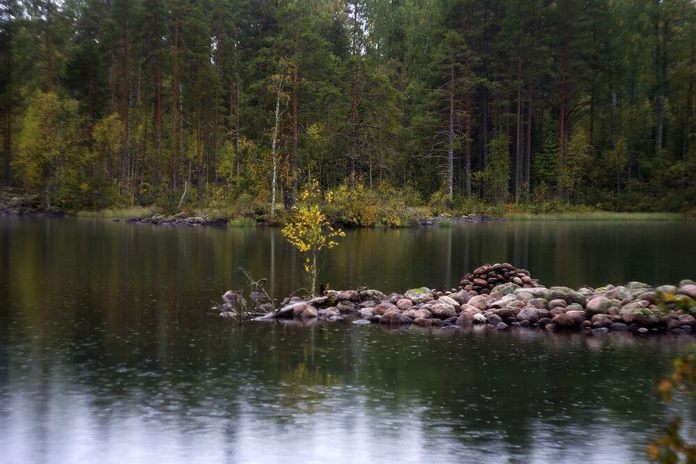 Зеленый цвет и желтых листьев шорох