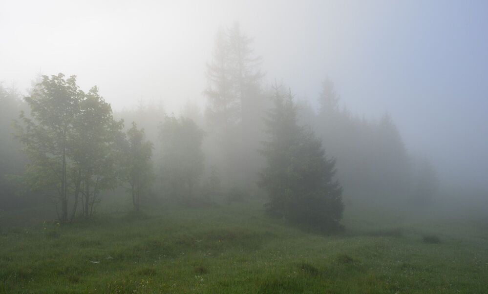 Утренняя