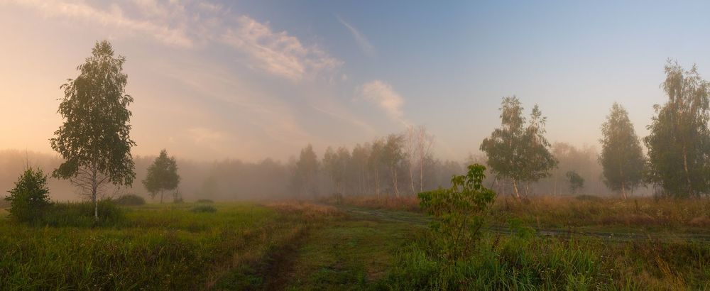 Просыпается луг, околдованный белым туманом