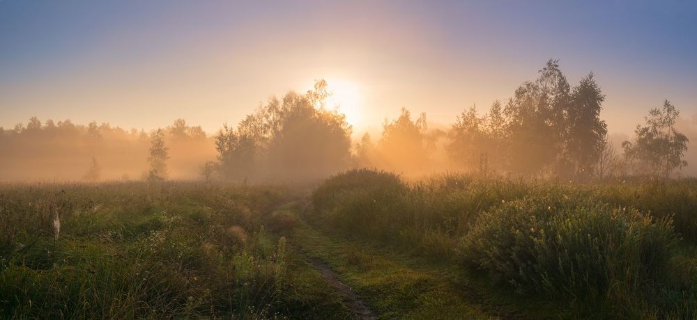 Просыпается луг, околдованный белым туманом