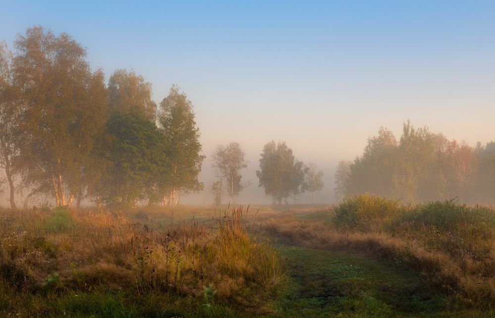 Просыпается луг, околдованный белым туманом