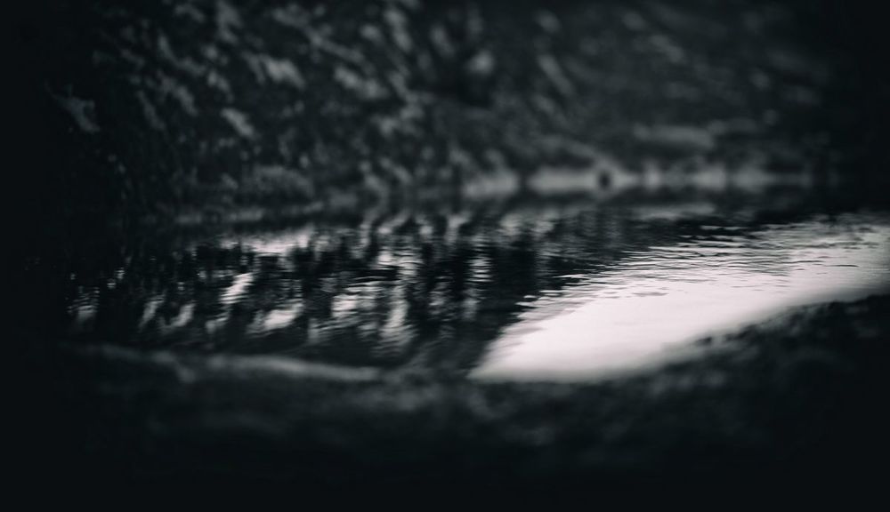 Morelia Dark