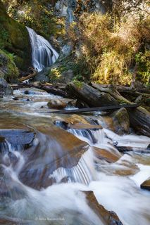 Чоодор, Чодор, Чидор, Чодур, Чедор...(алт. - черемуховый, рябой, корявый, шалаш)