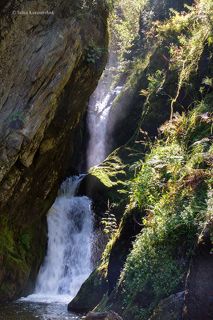 Эстюба (алт. - веpхняя часть большой гоpы)