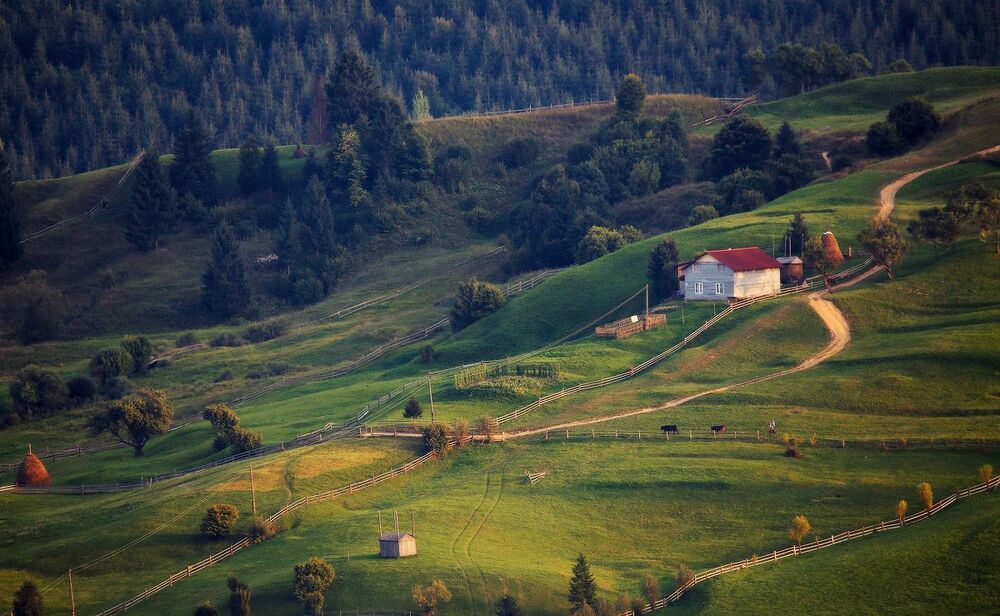 Сельско-Карпатская