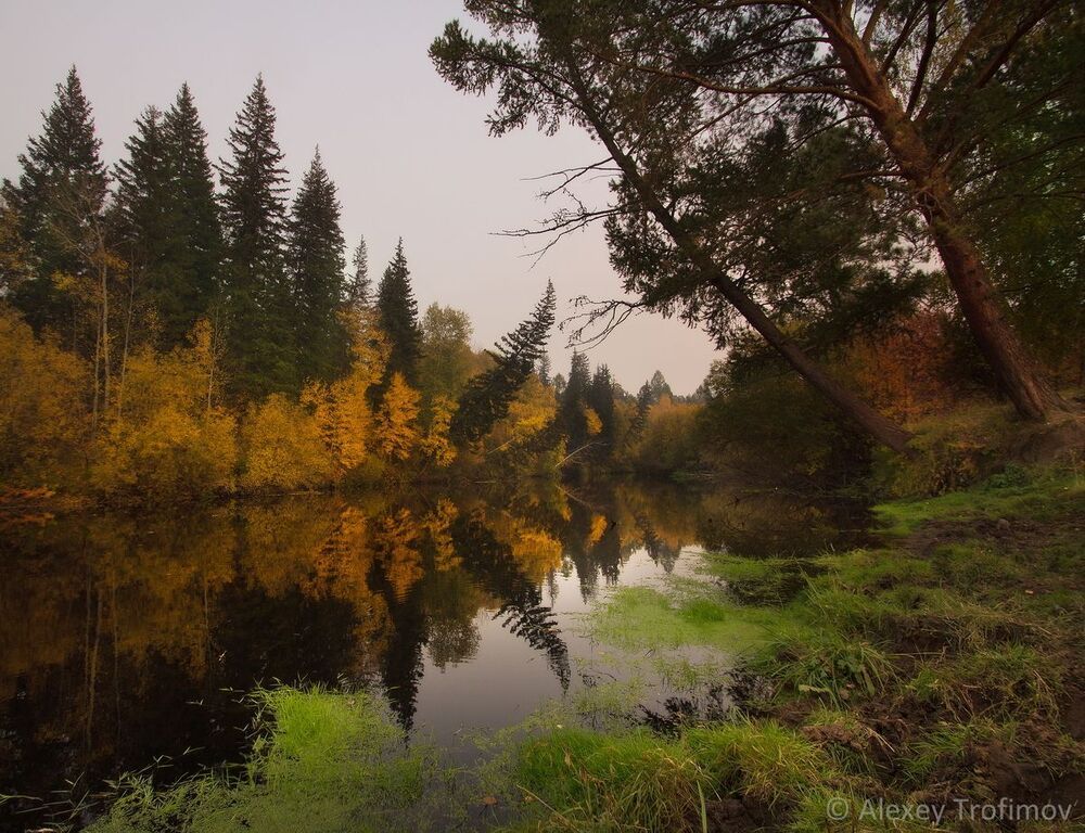 Осенняя тишина