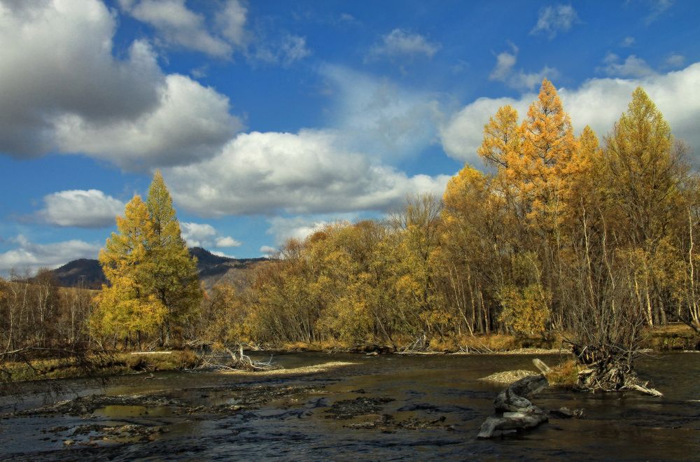 Краски бабьего лета
