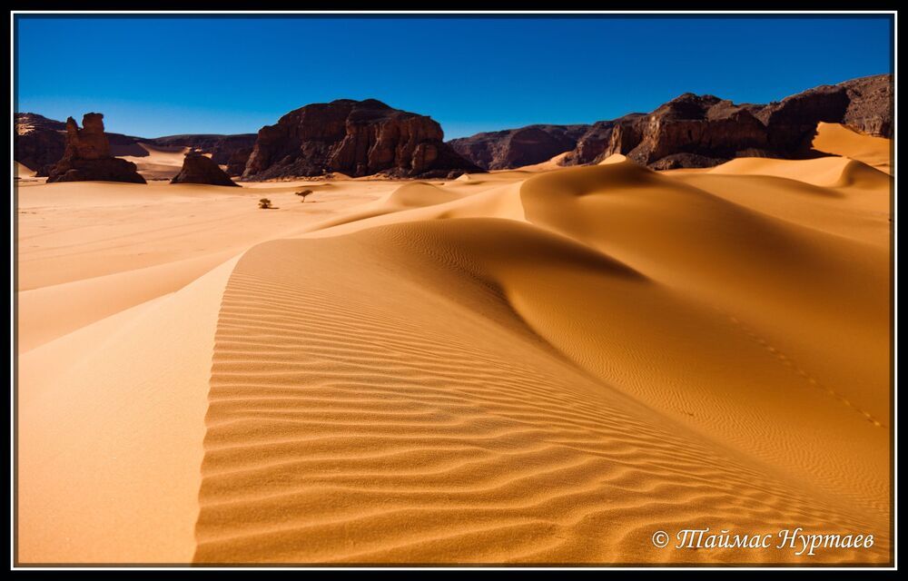 ВЕЛИКАЯ   САХАРА!