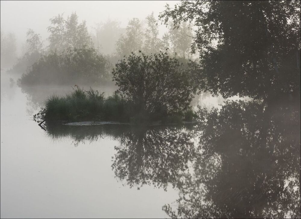 Ажурная графика