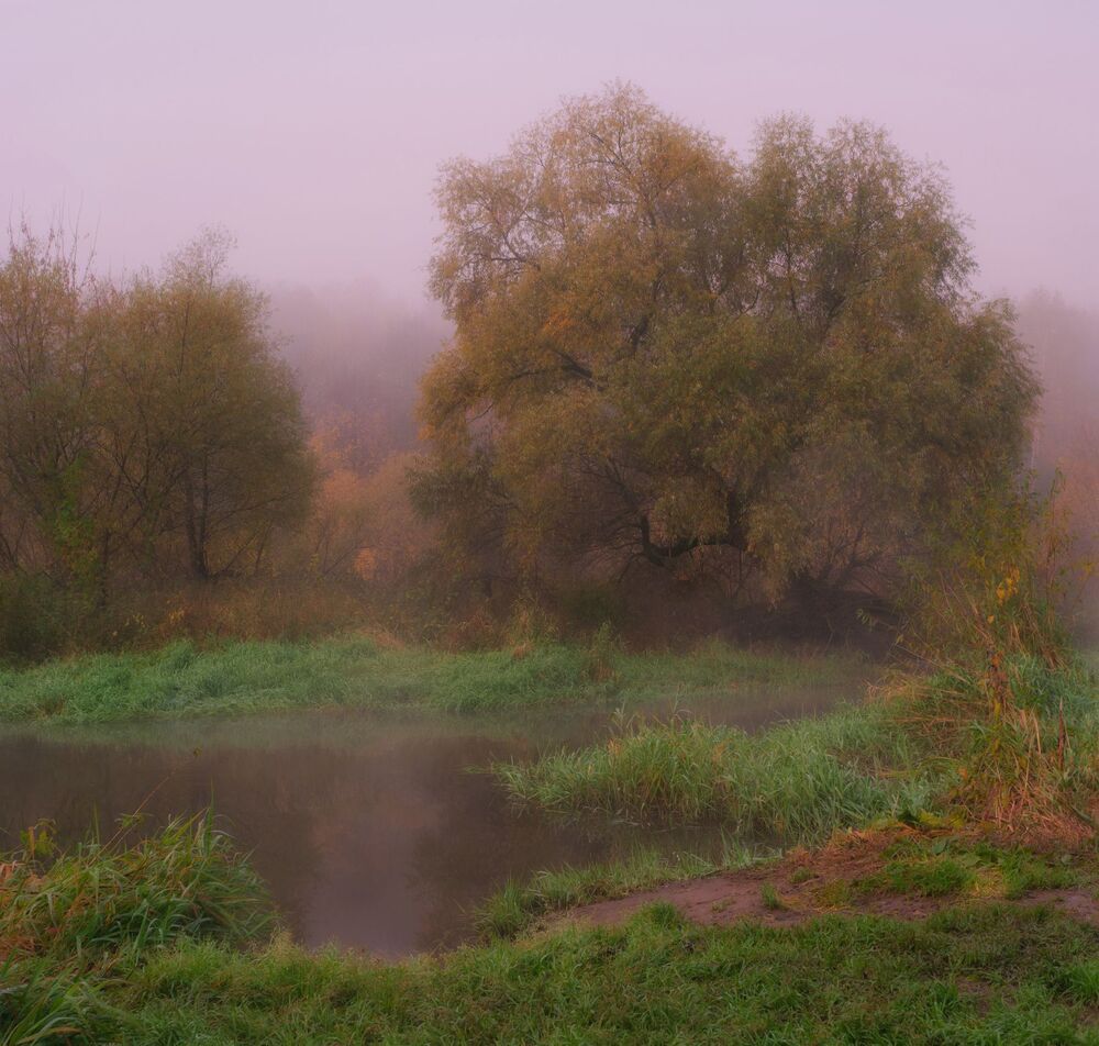 Тихая осень