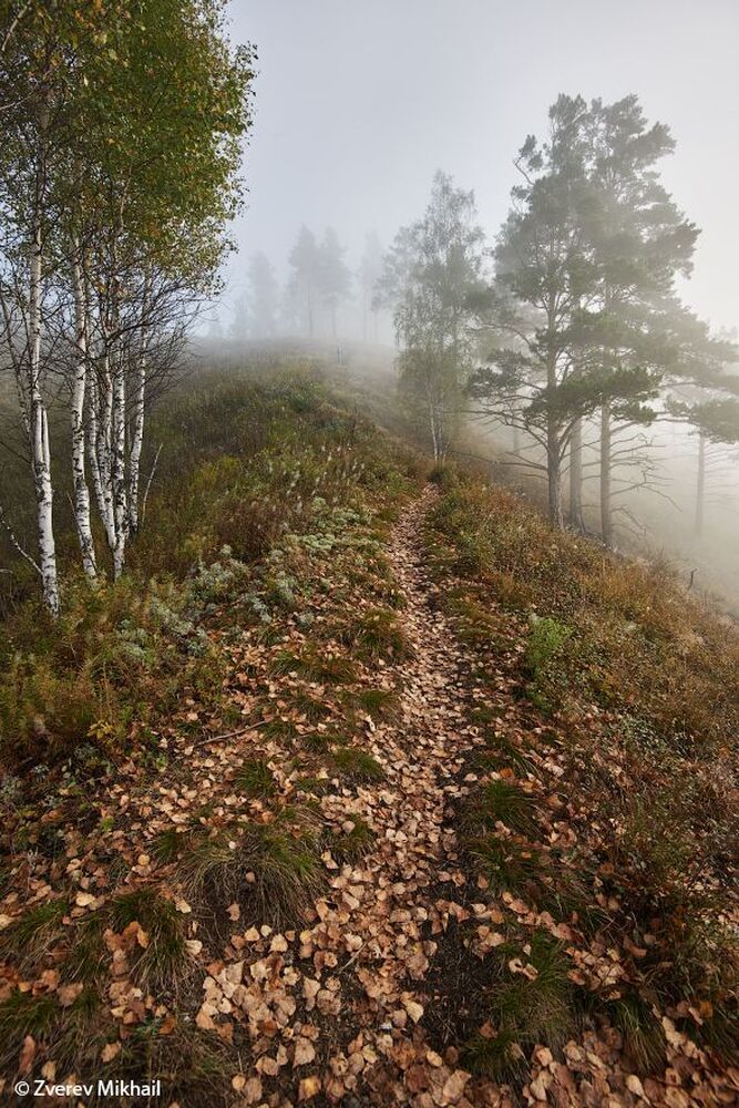 Осеннее утро