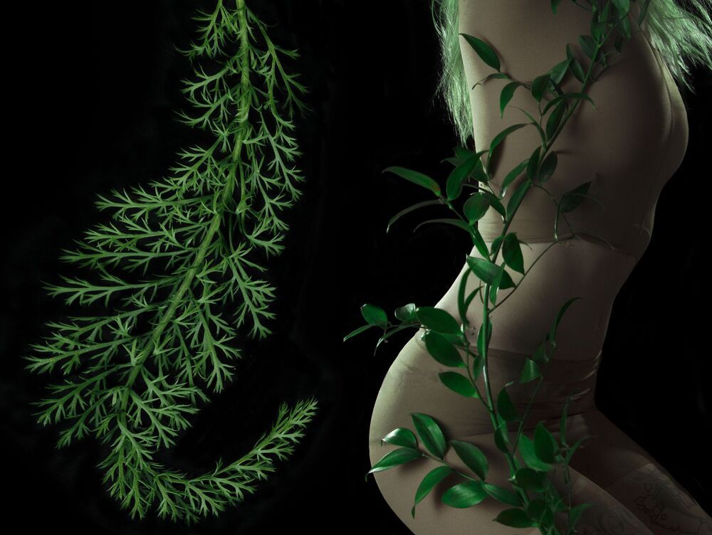 I am NATURE