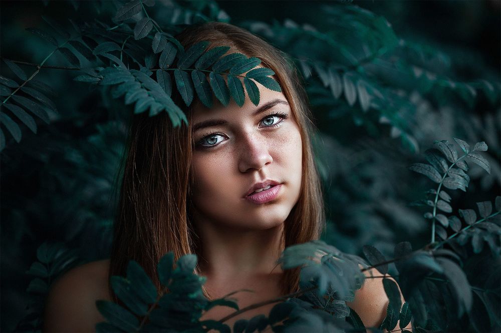 Forest eyes
