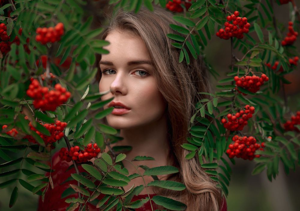 Рябиновая симфония