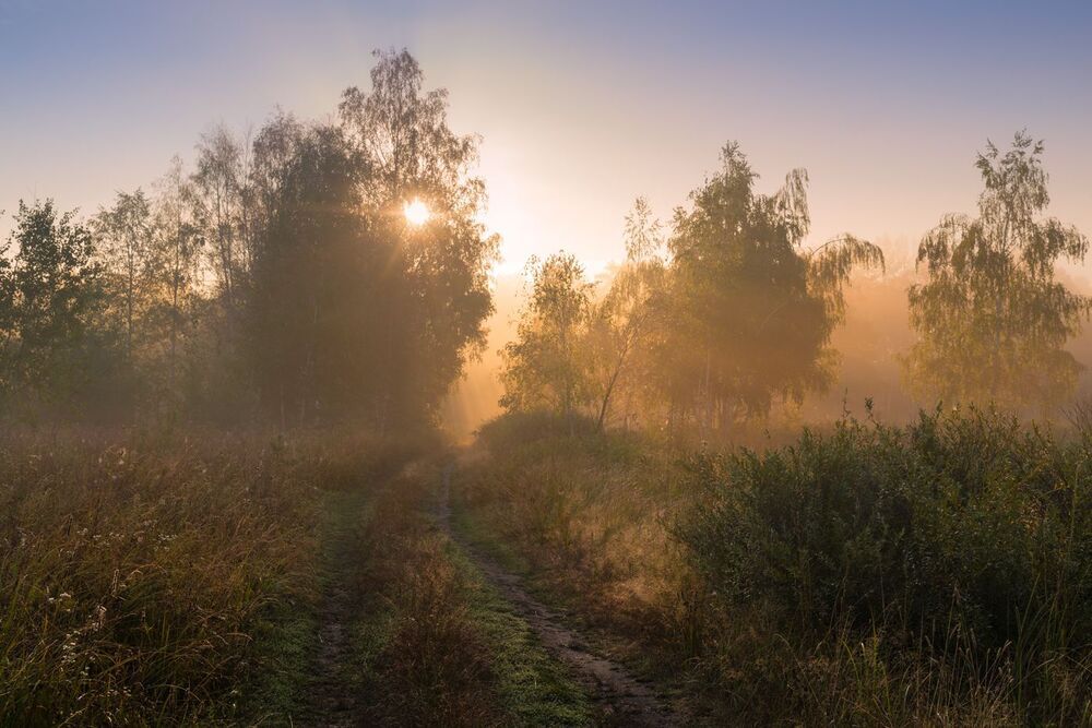 По утренним лугам медовый льется свет