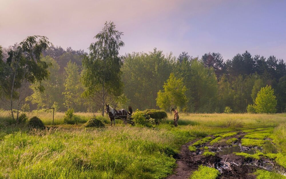 Время сенокоса, жаркая пора