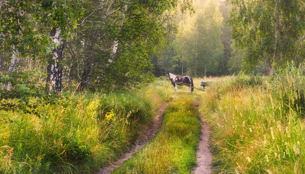 Время сенокоса, жаркая пора