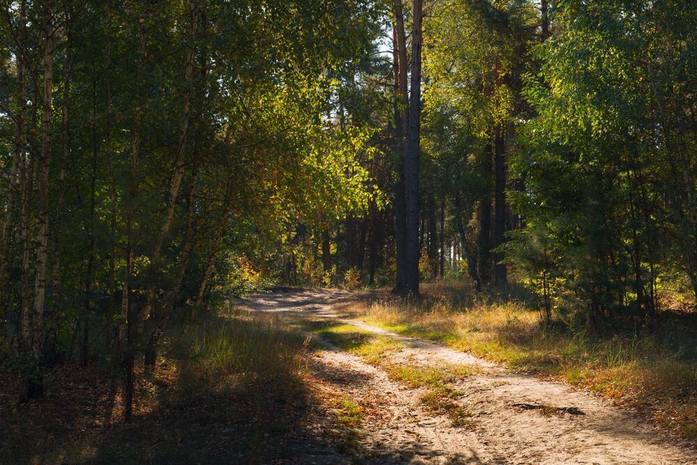 Дорогами сентября