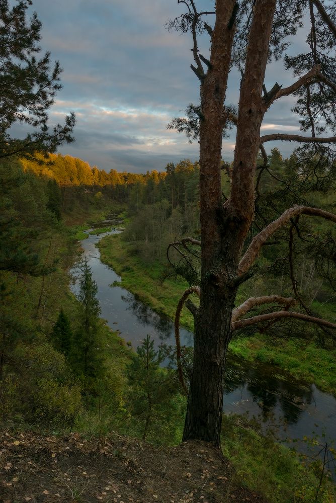 Вечер на реке Держа